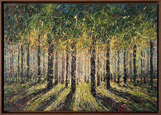 Spring Forest Light