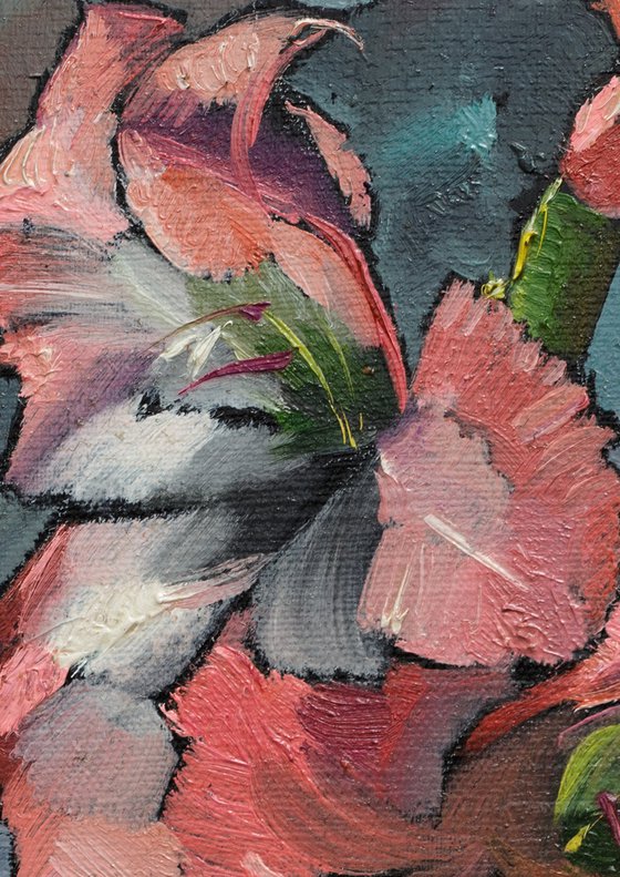 Gladiolus
