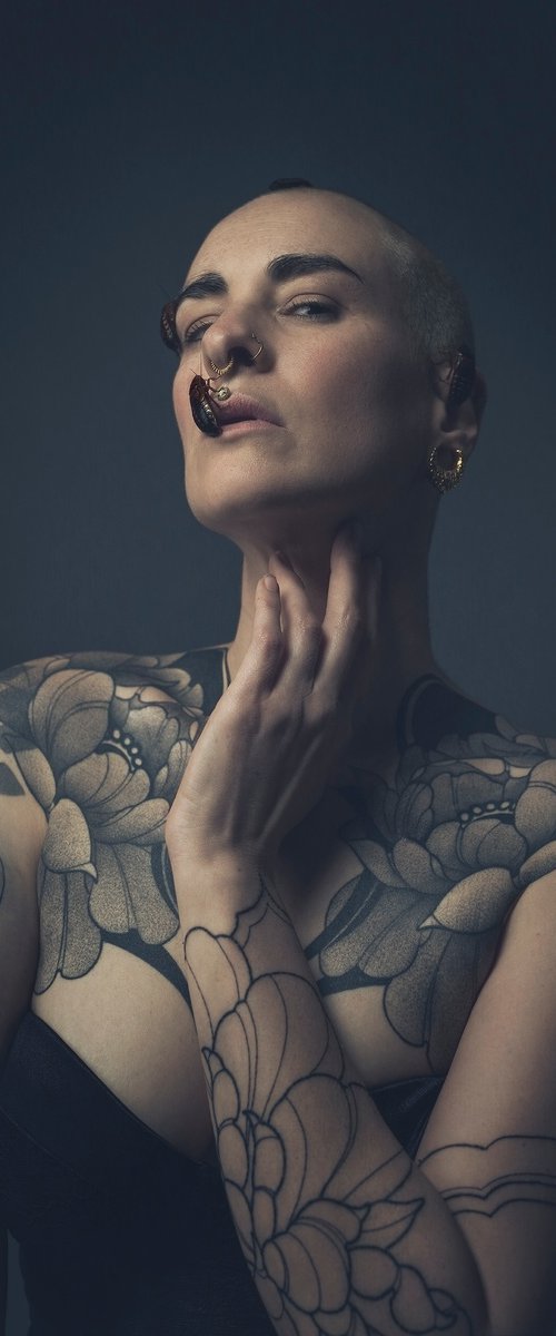 Silent Witness by Cédric Brion