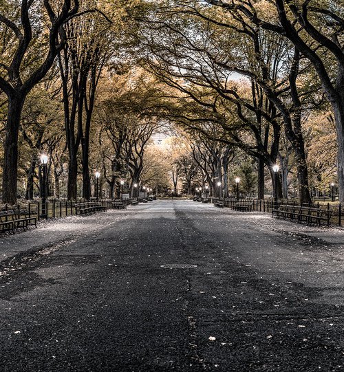 Poets Walk Central Park by Nick Psomiadis