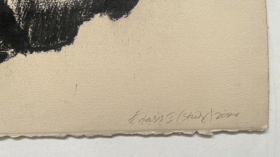 Extasis (study 1)