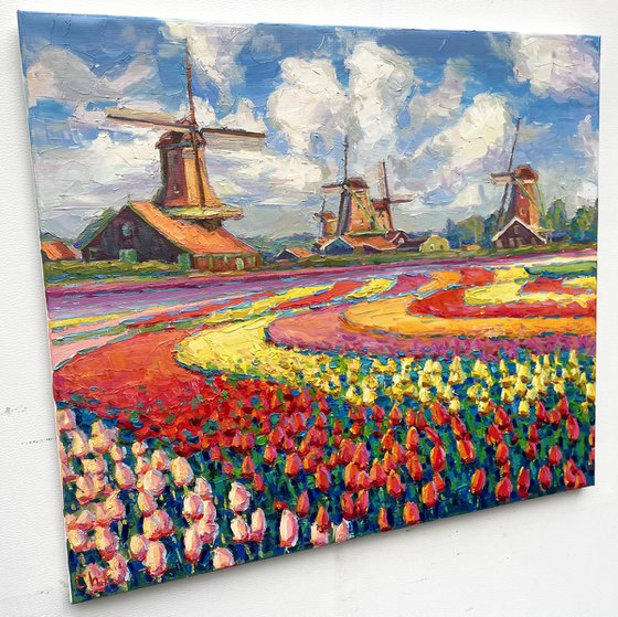 Field with tulips