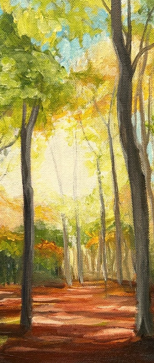 Nature's Best by Jo Lillywhite