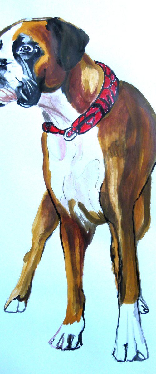 Boxer dog by Soso Kumsiashvili