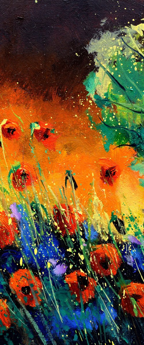 Red poppies - 4420 by Pol Henry Ledent