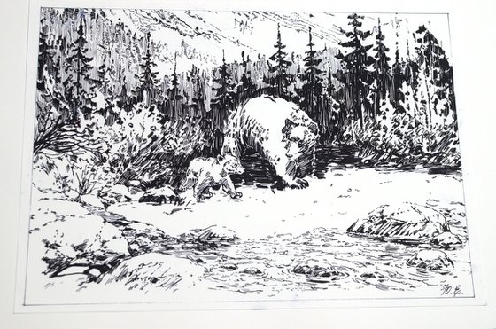 Imagining Bears