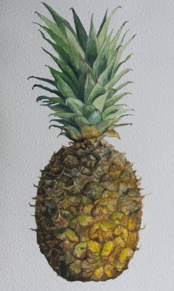 Pineapple Still Life