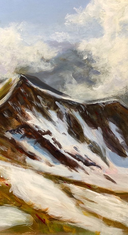 Swiss alps by Shelly Du
