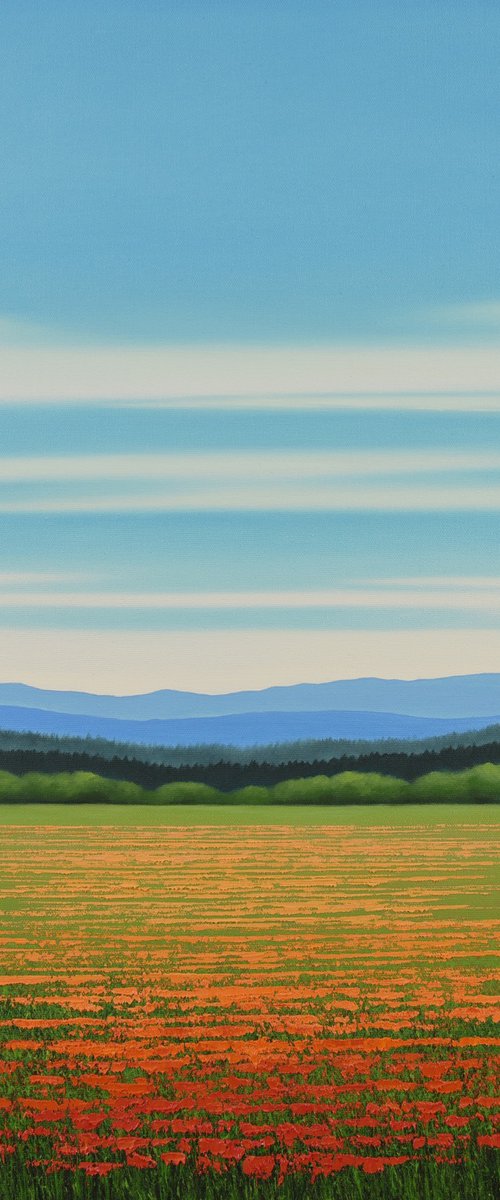 Blue Sky Poppies by Suzanne Vaughan