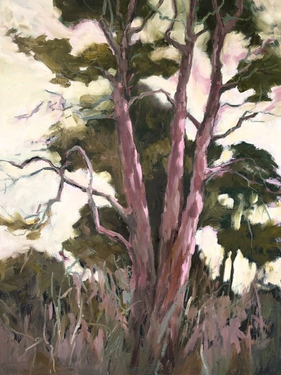 Tranquil Wood