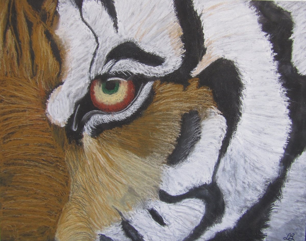 Eye of the Tiger by Linda Burnett