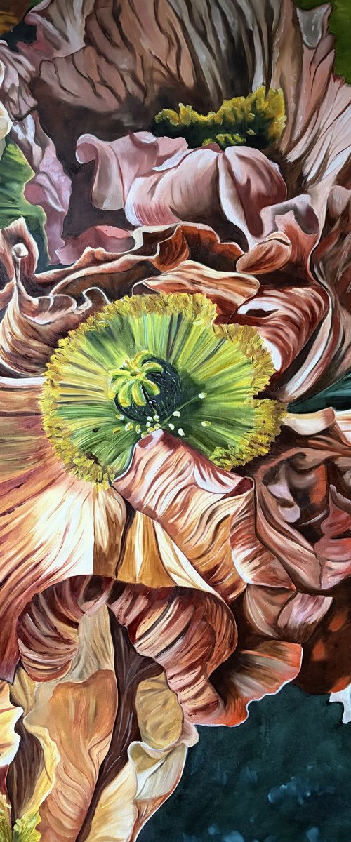Sunkissed Poppies by Wendy Peters