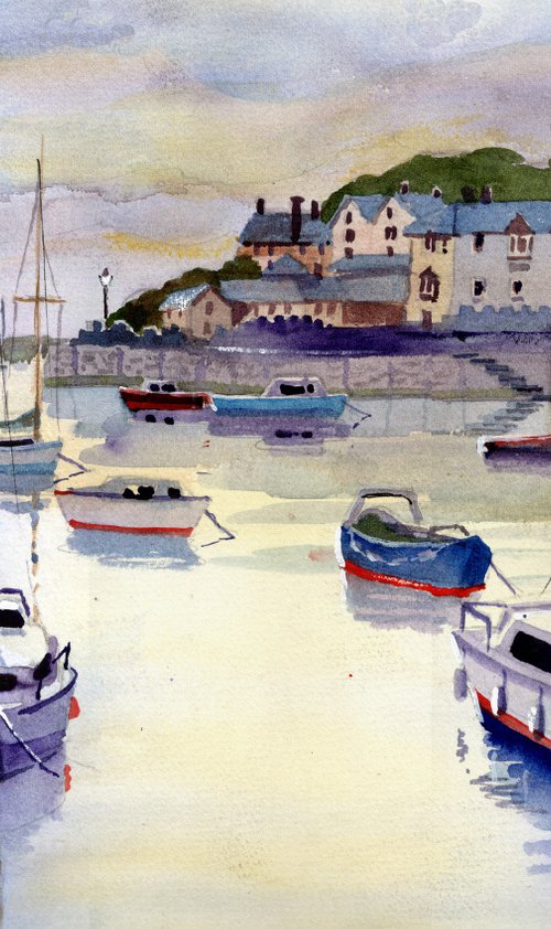 Brixham Harbour, Berry Head, Devon by Peter Day