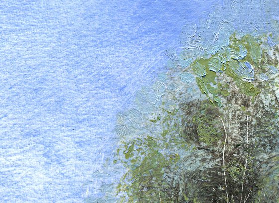 THE LOST POND