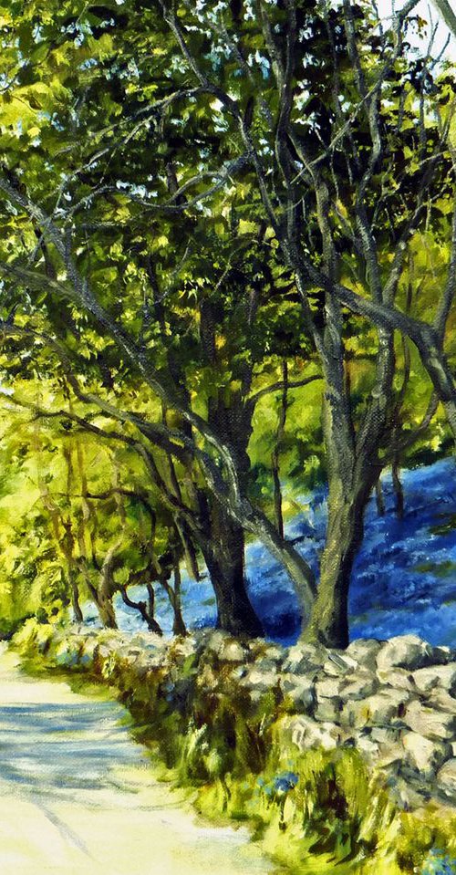 Bluebell Lane by Mike Brown