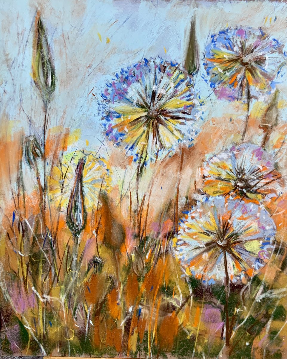 Dandelions - meadow, sunset, wildflowers by Alexandra Jagoda (Ovcharenko)