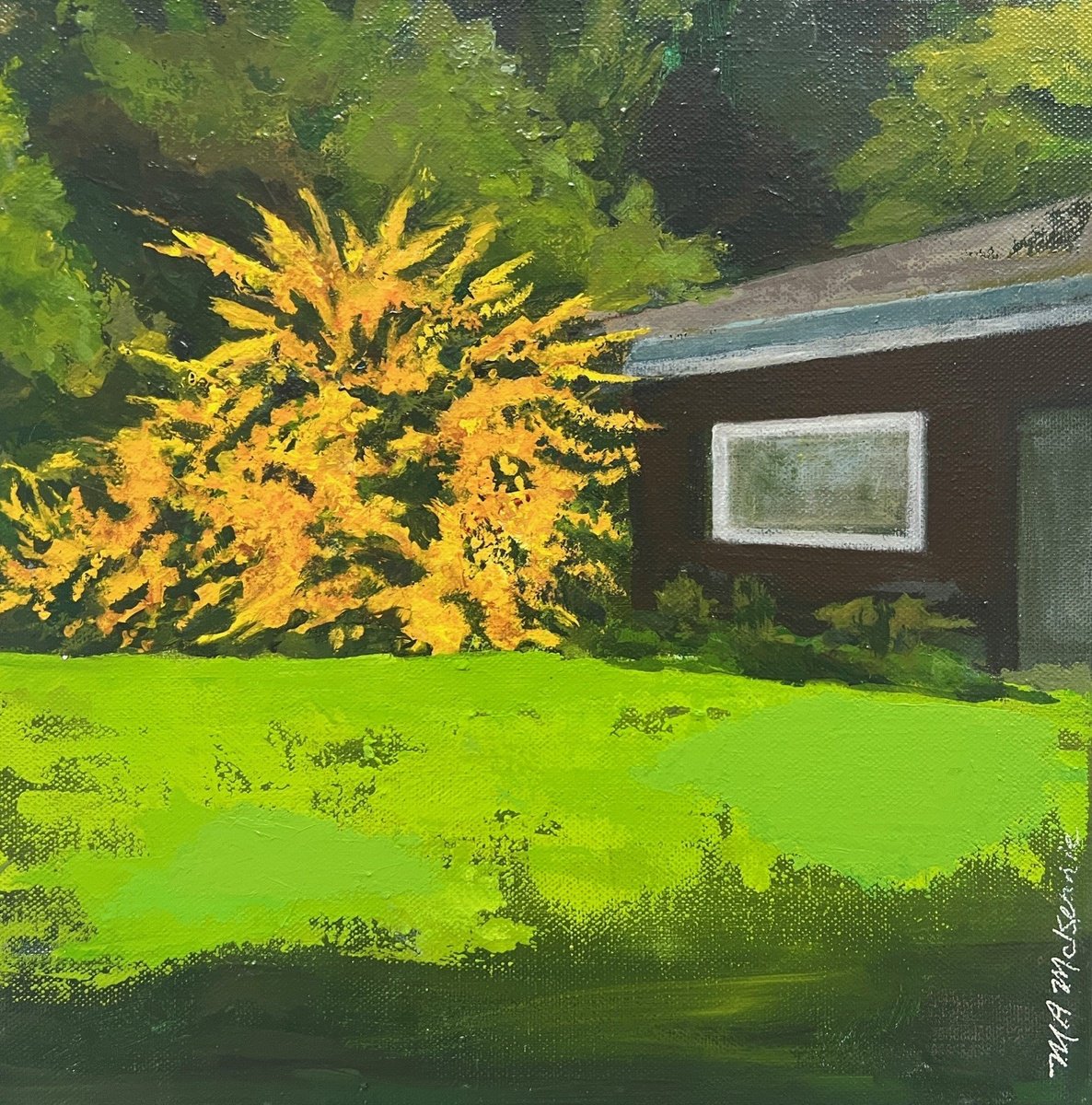  California Flannel Bush By Maryanne Mckernie, 12 X 12, Artwork For Sale On Artfinder