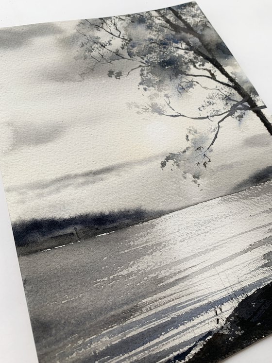 Tree, Lake Narach, Belarus