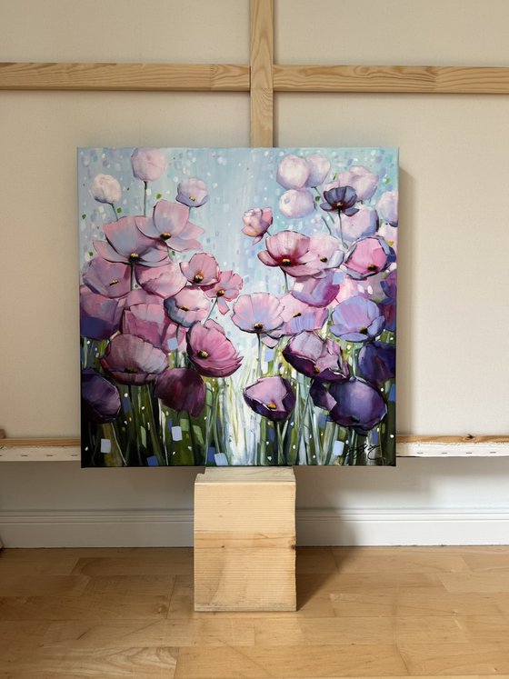 Poppies Land 16