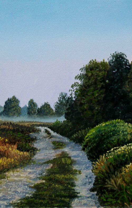 Heathland by Dietrich Moravec