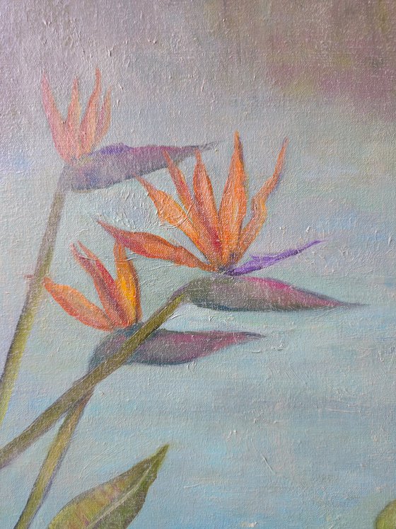 Tropical Pond