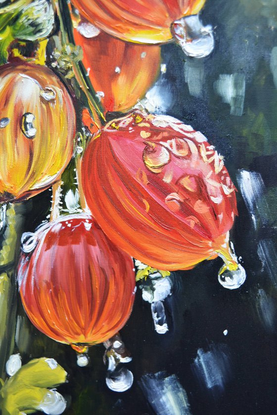 Gooseberry Lanterns