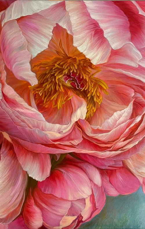 Pink peonies by Elena