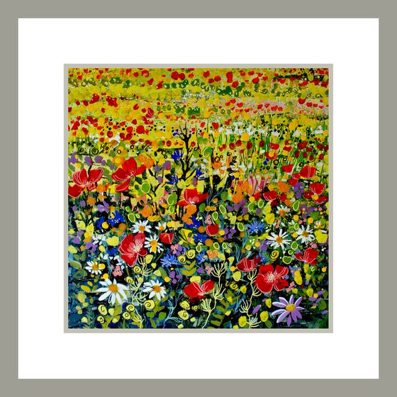 Wildflower Meadow