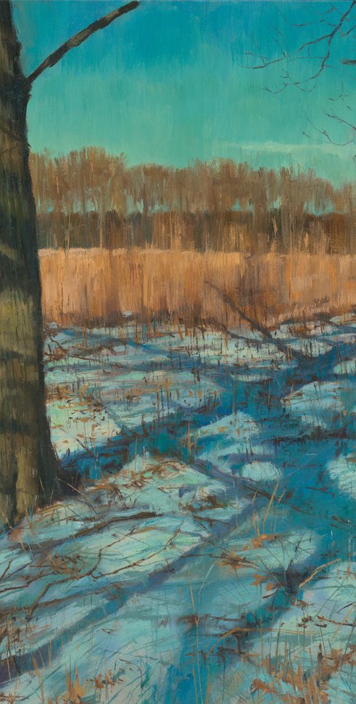 The Last Silence of Snow by Slava Batov
