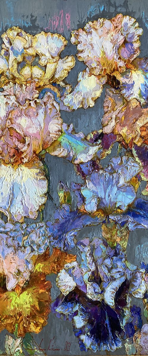 Irises on a gray background. by Andriy Vutyanov