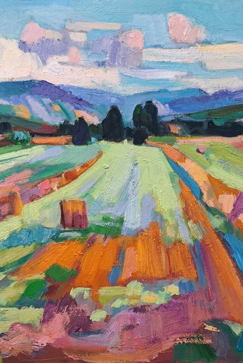 Golden Fields of Tuscany by Maja Đokić Mihajlović