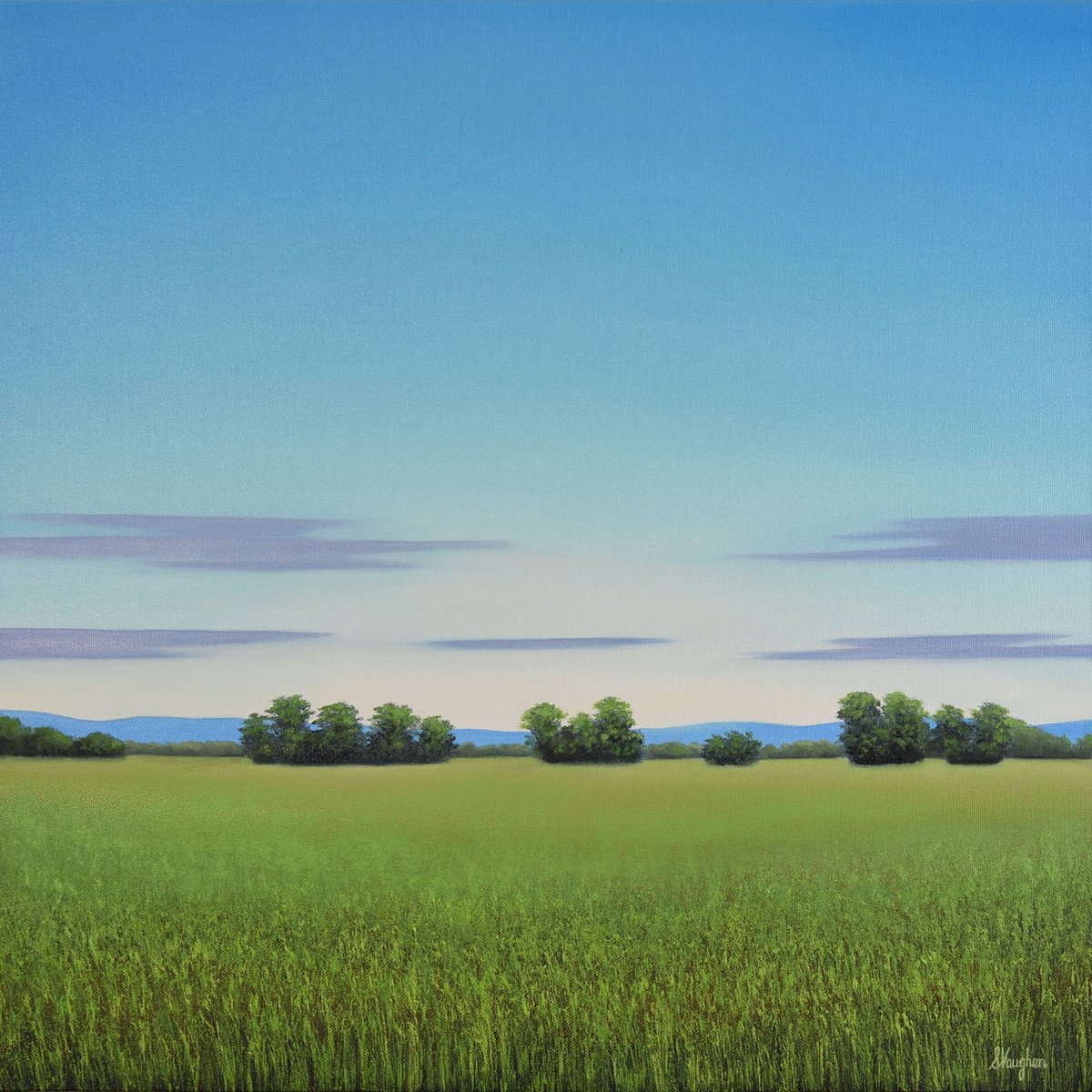 Impressionistic Landscape Oil Painting By Suzanne Vaughan, 20 X 20", Peaceful View - Blue Sky Landscape, Original Artwork