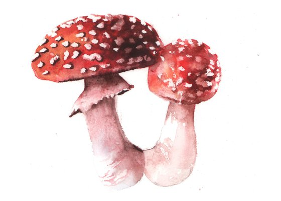 Flyagaric Mushrooms - Original Mushroom Watercolour