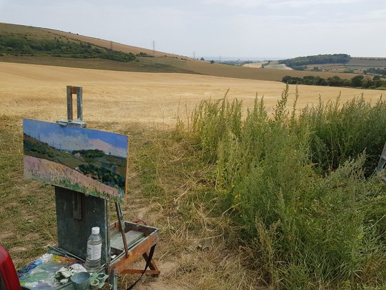Downs above Sompting