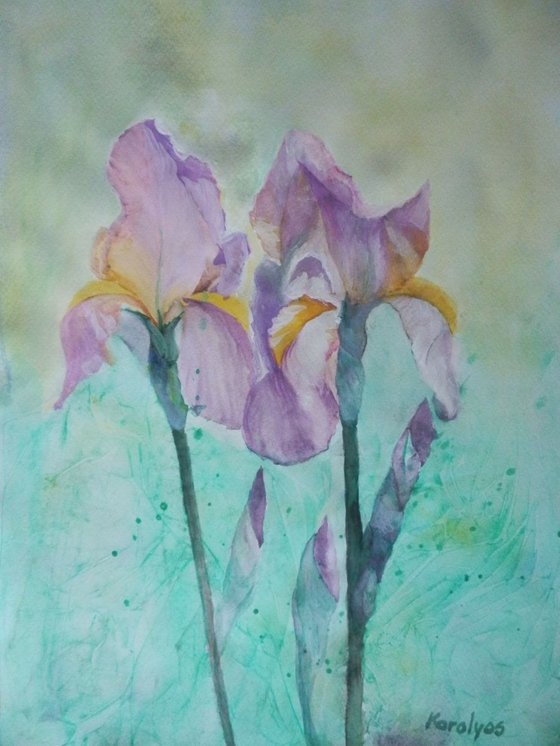 Irises