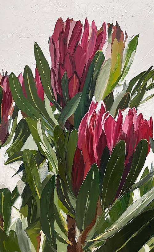 Red Proteas by Claire McCall