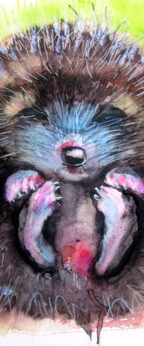 Baby Hedgehog by Violeta Damjanovic-Behrendt