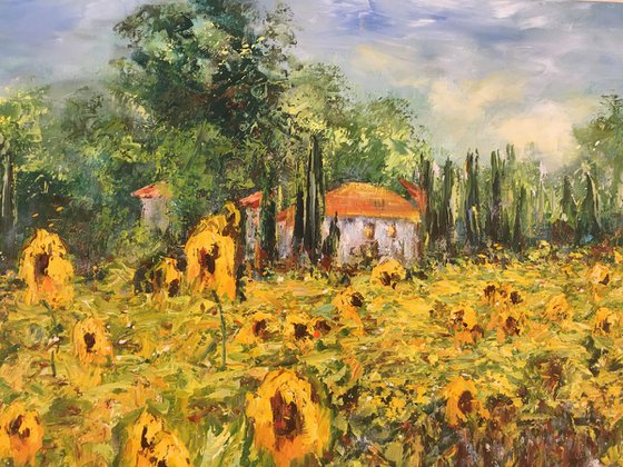 Sunflowers