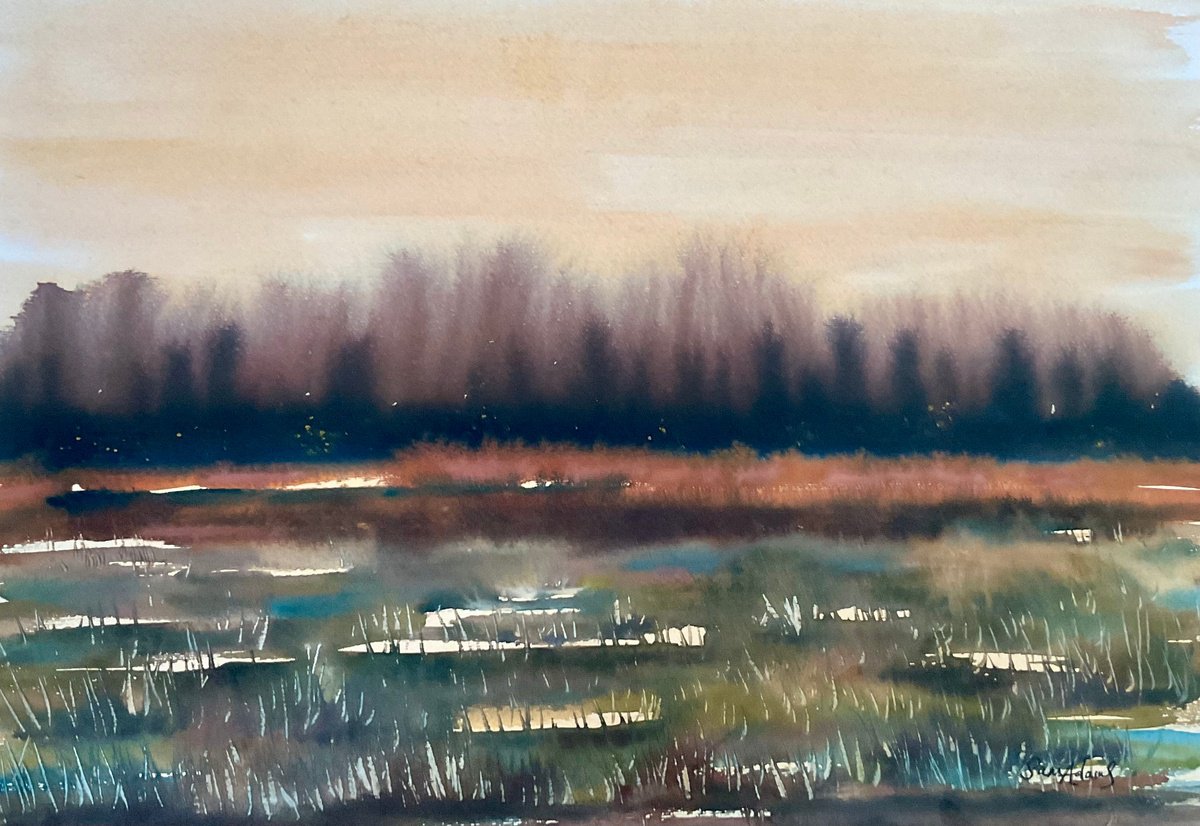Expressive Watercolour , Bog Landscape By Samantha Adams, 18 X 13, Artwork For Sale On Artfinder