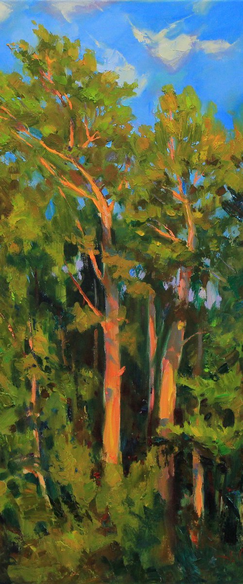 "Evening light" by Alisa Onipchenko-Cherniakovska