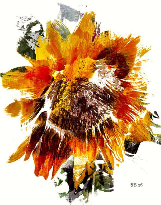 Painted Sunflower