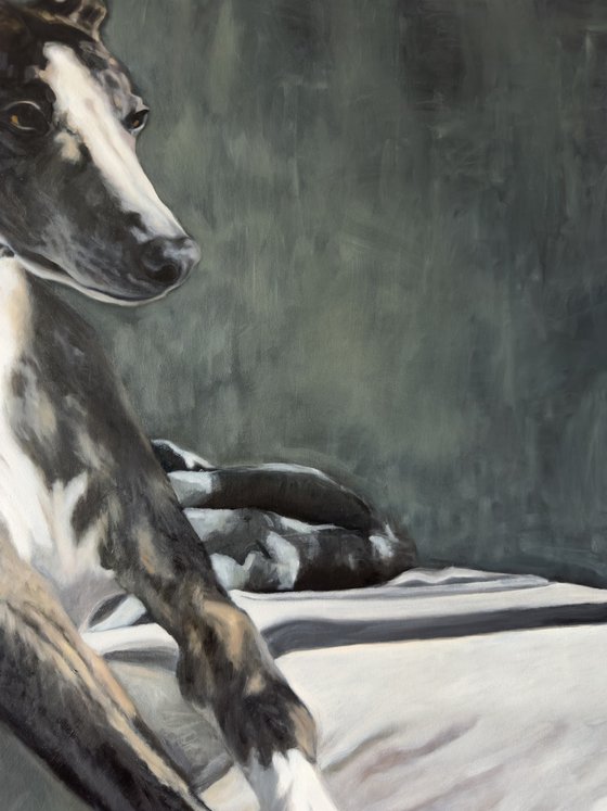 The Whippet