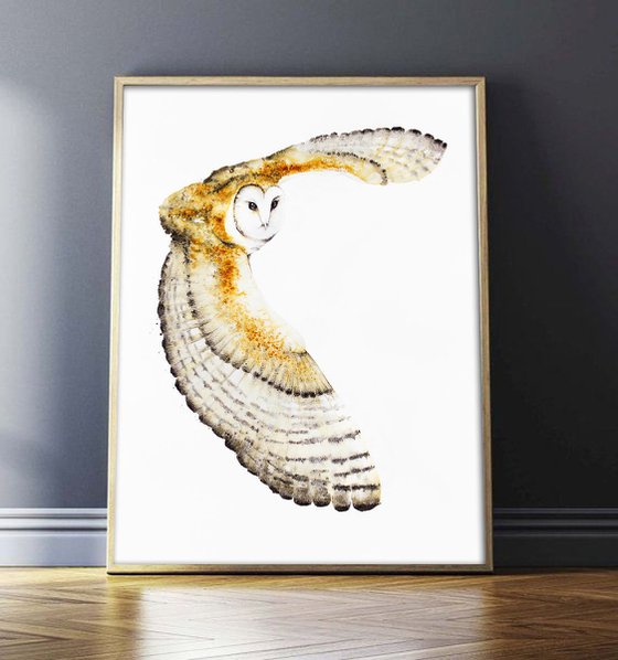 Barn Owl 52x73cm  birds, animals, wildlife watercolour painting