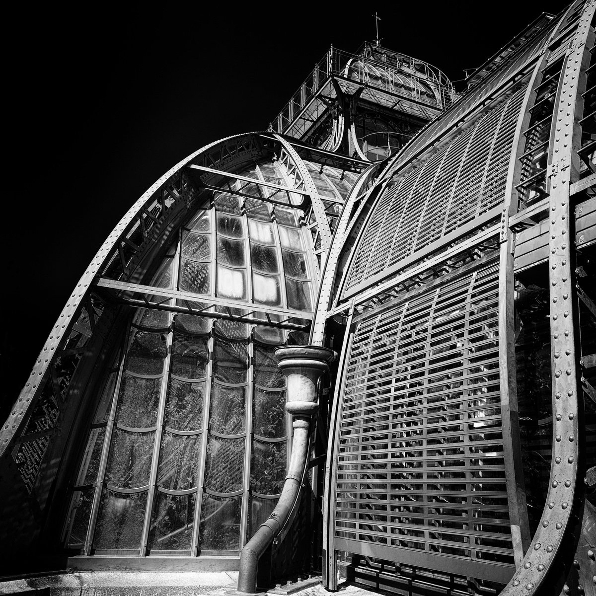 Photorealistic Cityscapes Photograph By Christian Schwarz, 17 X 17, House Of Palms, Original Artwork