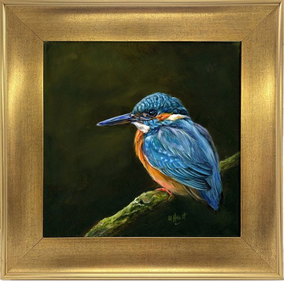Kingfisher oil painting