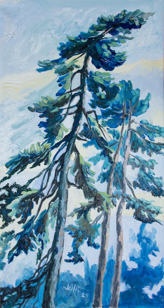 Pine Trees #7