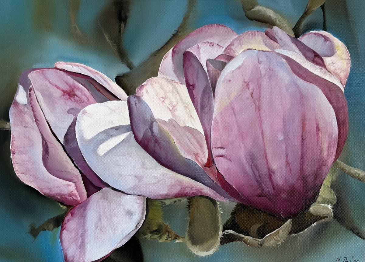 Photorealistic Botanical Oil Painting By Myroslava Denysyuk, 13 X 9", Magnolia Flowers By, Original Artwork