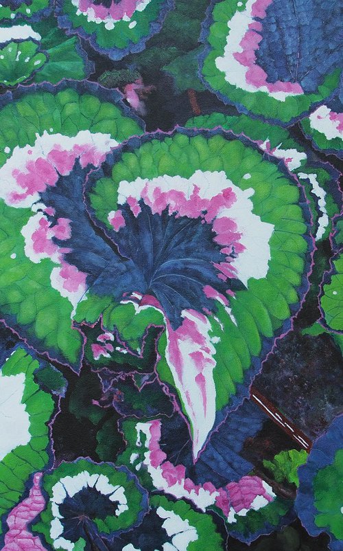 Floral Series 13 by Steven Fleit