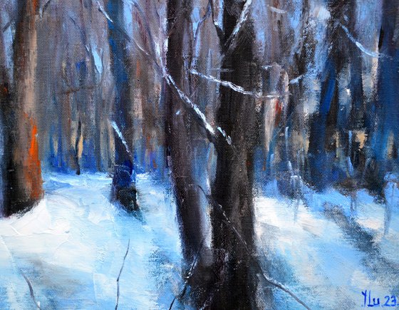 Forest in January days