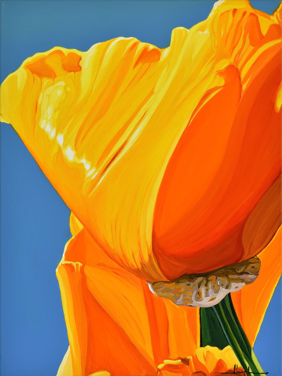 Urban And Pop Botanical Acrylic Painting By Alex Nizovsky, 18 X 24, Californian Poppy And Wind #6, Original Artwork